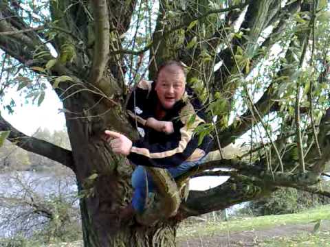 Dan in a tree - no honestly !!!!!