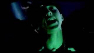 Trebol Clan - Gata Fiera