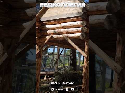 Эвенкийские домики на курьих ножках и наскальные рисунки — рассказ ученых о Забайкалье