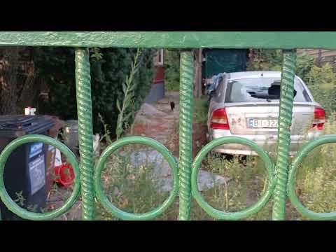 #Kononowicz house Szkolna 17 inheritance case, mess, graduation tower will there be something or ...