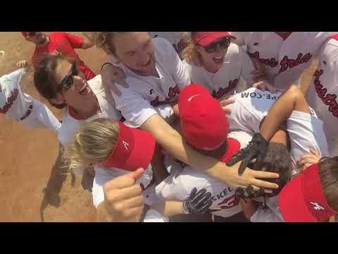 Walkoff Celebration - Austrian COED Slowpitch Team vs. Italy
