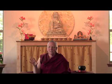 06-16-15 Advice for Dharma Practice: Caring for Feral Cats - BBCorner