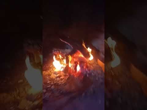 sábalos relleno bovril entre ríos