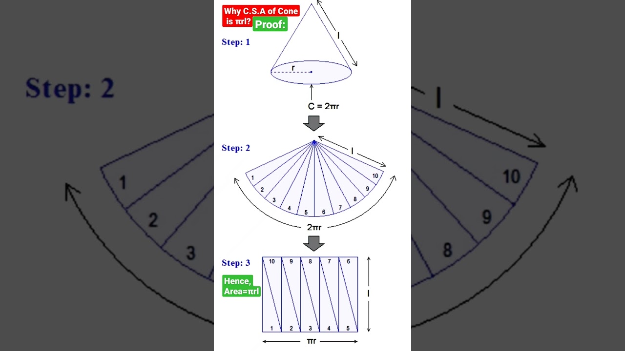 Why the Curved surface Area(C.S.A) of Cone is πrl?🤷