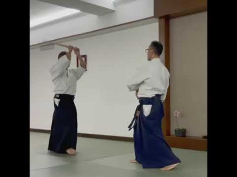 Aikido - lezione sul contatto