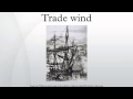 Trade wind 