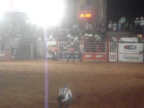 rodeio de colorado 2011