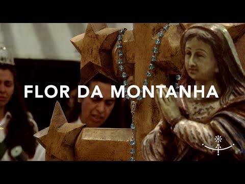 FLOR DA MONTANHA •ano novo• (Híbridos, the Spirits of Brazil)