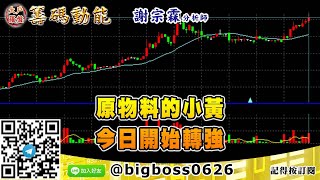 【大戶羅盤籌碼動能】 #謝宗霖1228，原物料的小黃 今日開始轉強 (圖)