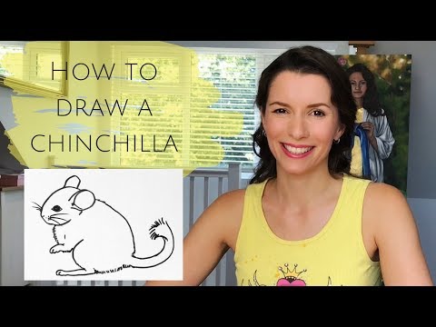 Beginners - how to draw a chinchilla