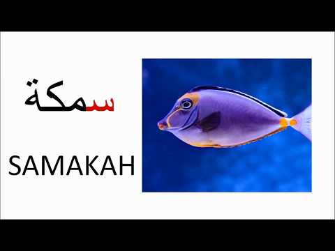 Learn Arabic lessons for kids and beginners in English (EPISODE 2) تعليم الحروف العربية بالانجليزية