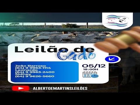 LEILÃO ALBERTO e MARTINS 05/12/2025 AS 18:00 hs em Cachoeira Alta Go.