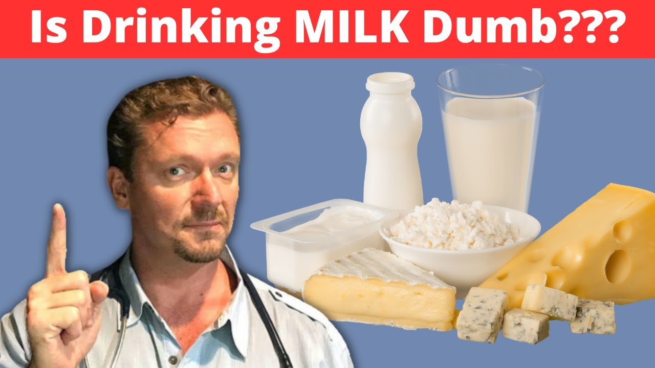 Is DAIRY Scary?? Inflammation & Obesity Concerns - 2024