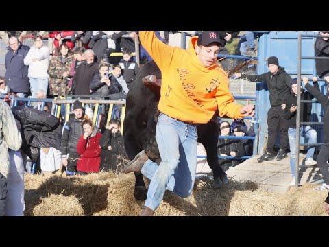 BEST OF COURSE AU PLAN BELLEGARDE 21.01.2024