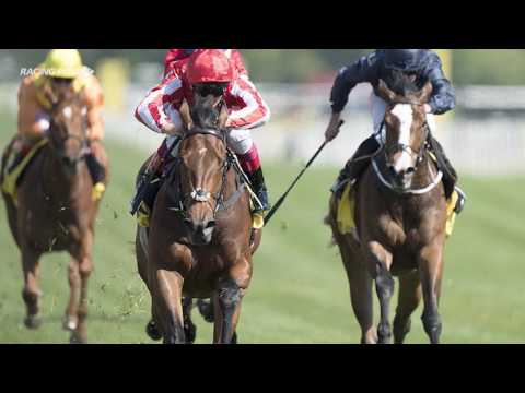 Qipco 1000 Guineas: Daban & Dabyah