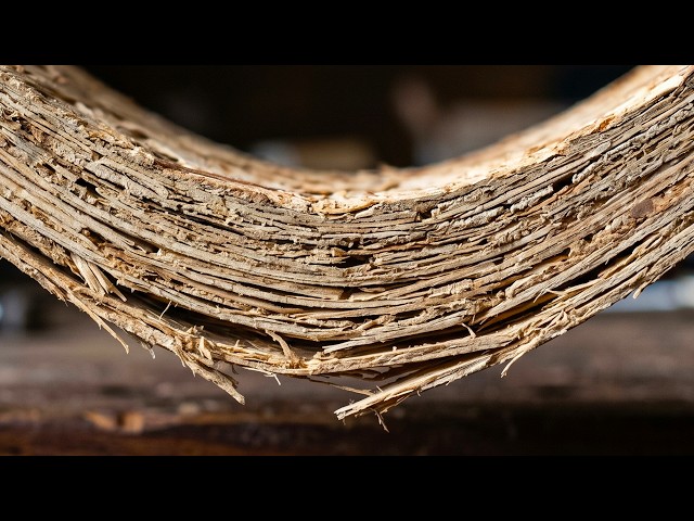 The Science of Plywood SDDEFAULT Thumbnail