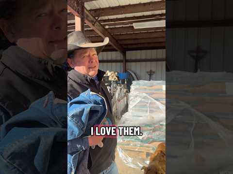 Video: Gator Magnetics Pole Barn Organization on Steel Siding video thumbnail