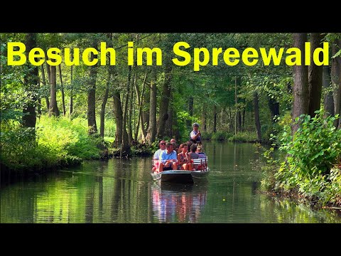 Visit to the Spreewald in Brandenburg/Germany