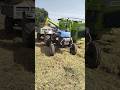 Paddy Harvesting Trending Agriculture