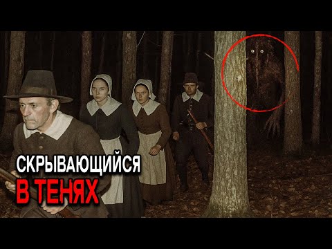 В 1699 Паломники Утверждали, что Скрытень Охотился на Них в Лесах Плимута
