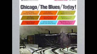Chicago The Blues Today! (Johnny Shines)
