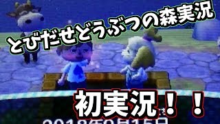 とびだせどうぶつの森Part1動物も見た目だけじゃわからないね