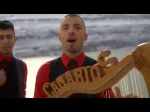 Los Canarios de Michoacán - No Se Vivir [Video Oficial]