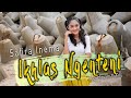 SAFIRA INEMA IKHLAS NGENTENI Official Music Video Dj Remix Aku Wes Berjuang Mati Matian