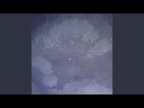 Destiny - Beta State