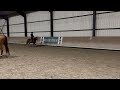 Super poney Welsh par Bred 