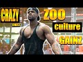 How To Build A Huge Lean & Strong Chest *Zoo Culture