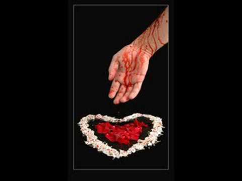 Maroc morocco zawaj chat