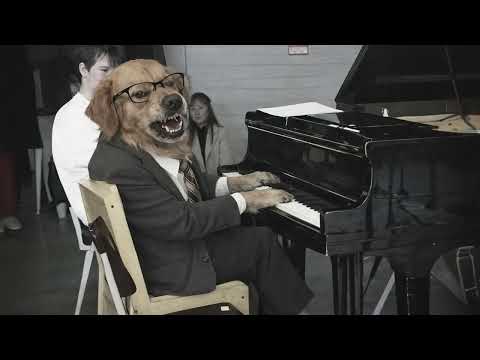 너희는 전혀 "연구"하고 있지 않아 [playlist]