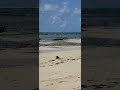 Malindi Marine Park — Kenya’s Underwater Paradise