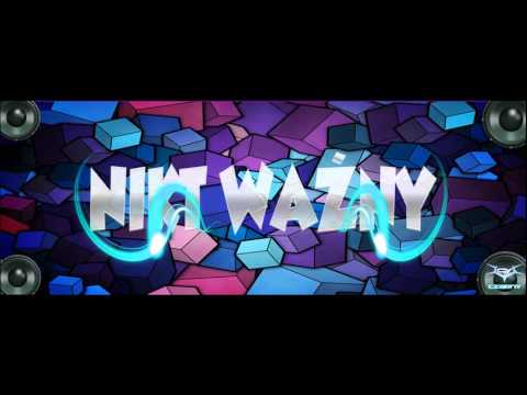 David Guetta ft. Skylar Grey - She Shot Me Down (Mikelo Mashup Mix 2k14)