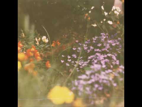 Algorum - El Oponente Invisible