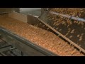 General Mills Gives Inside Look At How Cinnamon Toast Crunch Is Made