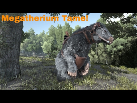 HOW TO TAME A MEGATHERIUM | ARK: SURVIVAL EVOLVED #