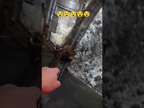 #polska #polskiedrogi #wojownicy #świętokrzyskie #poland #bmw