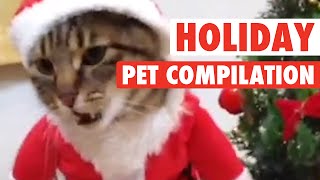 Funny pet Holidays