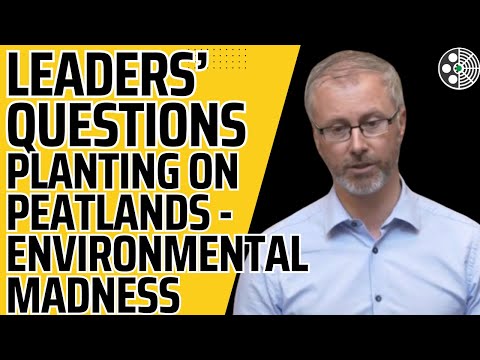 PEAT IS A HUGE CARBON STORE - Deputy Roderic O'Gorman- speech from 15 May 2025