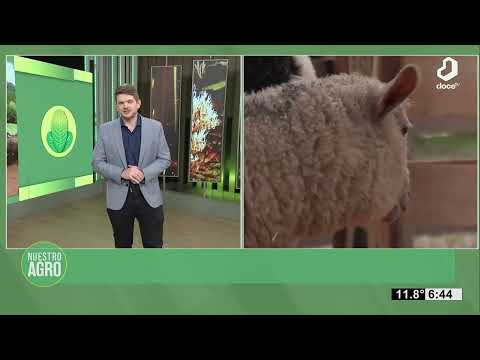 #NuestroAgro: Exitosa Expo ovino caprina en Profundidad