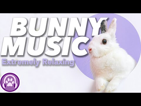 EXTRA SOOTHING Music for Rabbits - Soft Bunny Lullabies