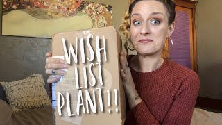 Wishlist / Rare Plant Unboxing - Little Prince