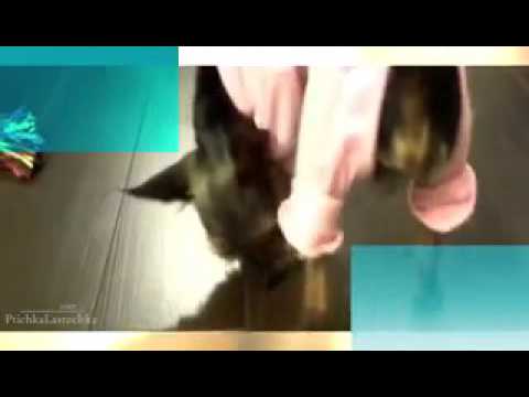 ١٩ يناير، ٢٠١٦