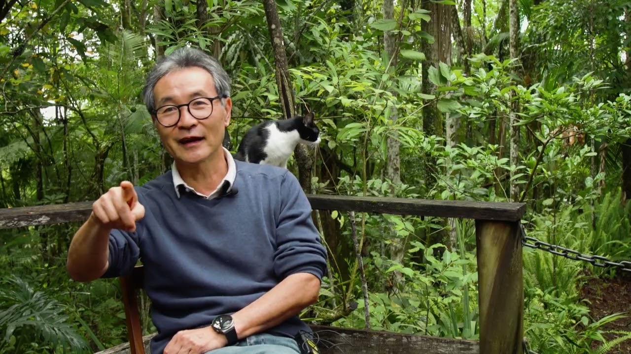 A Verdade Sobre Cogumelos - Descubra o Segredo da Eco Fazenda Abe