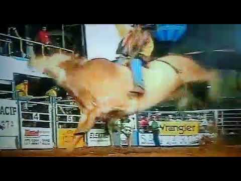 Ricardo Rosseto Touro [raio x] Paulo Emílio   Jales 2006 Página Profissão Atletas de rodeio