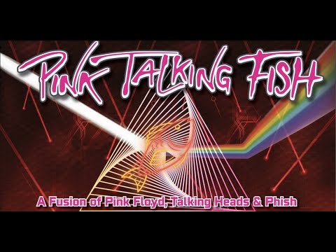 Pink Talking Fish - Live in Burlington VT 3/19/22 Set 1