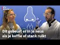 Daar zit een luchtje aan: wat is geur eigenlijk? | RTV Utrecht