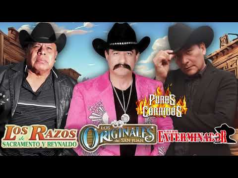 Los Razos, Los Originales de San Juan & Grupo Exterminador - Puros Corridos y Rancheras - 50 Éxitos